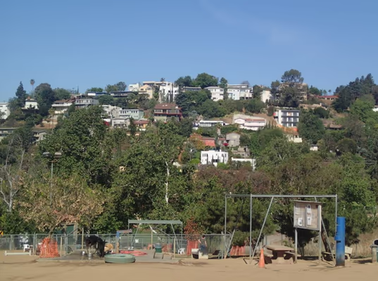 Silver Lake Dog Park photo 1